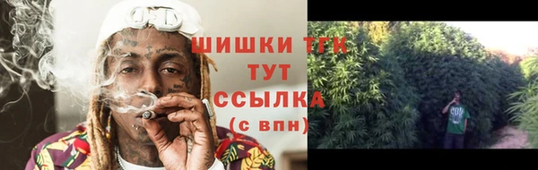 прущие грибы Волоколамск