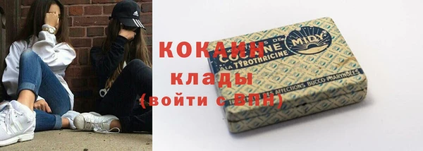 прущие грибы Волоколамск