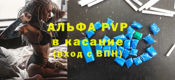 прущие грибы Волоколамск