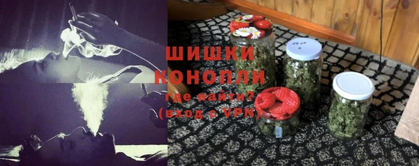 прущие грибы Волоколамск