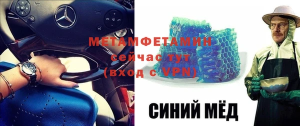 прущие грибы Волоколамск